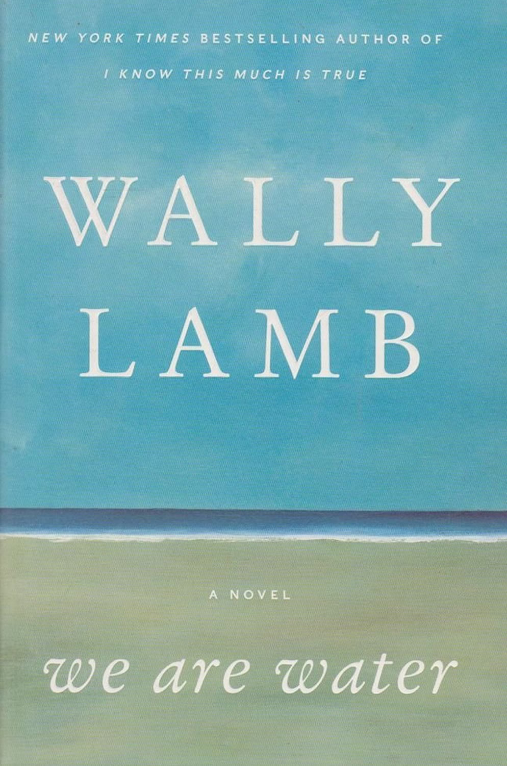 We Are Water Wally Lamb